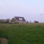 Sylsroede iisbaen b